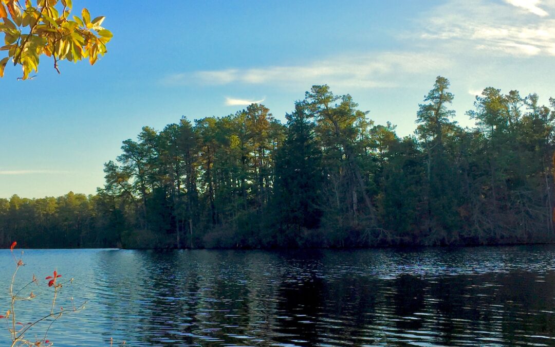 For His Mercy Endures Forever