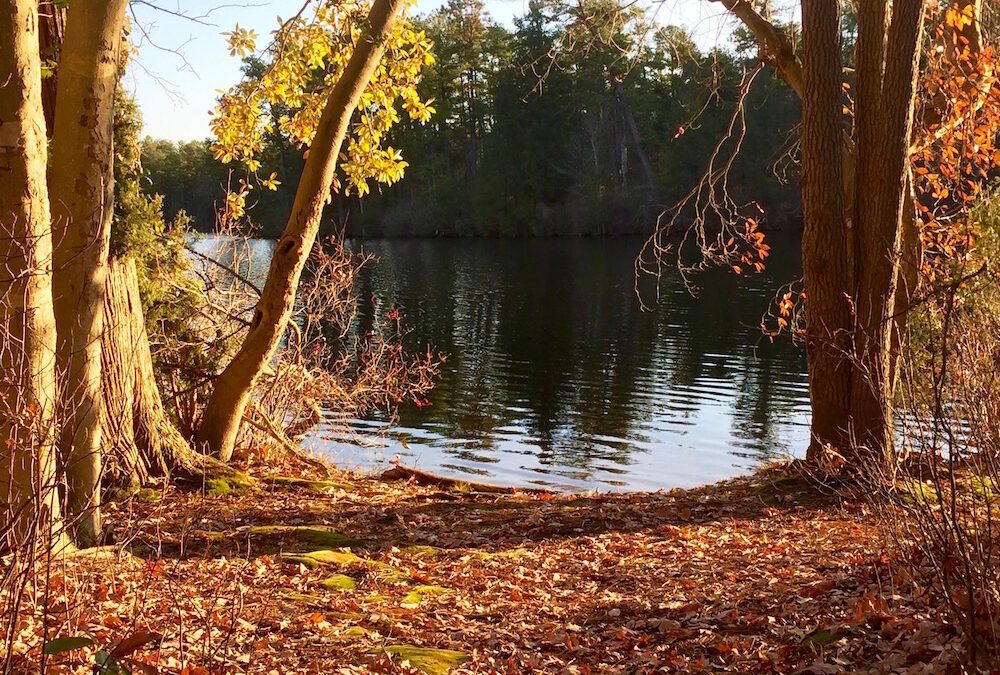 Behold the Best, the Greatest Gift